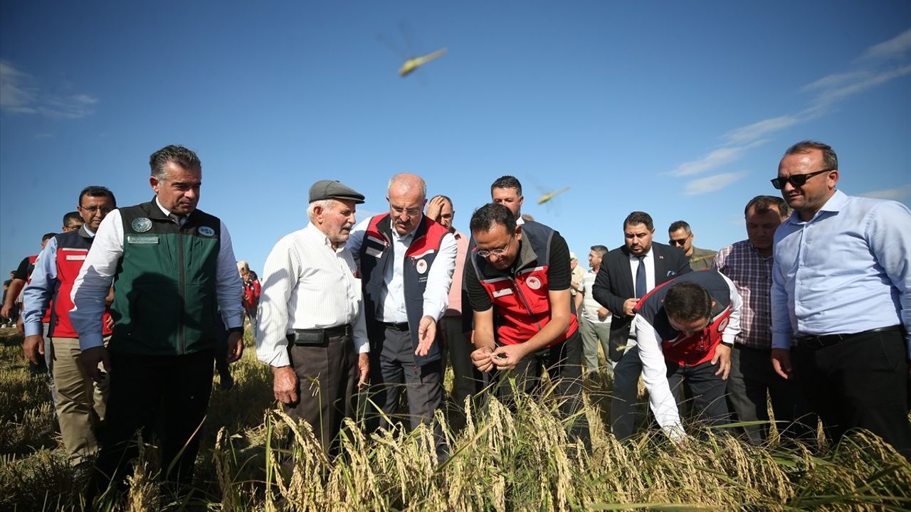 Çanakkale'de Çeltik Hasadı Tarla Günü: Damla sulama ve su yönetimi vurgulandı