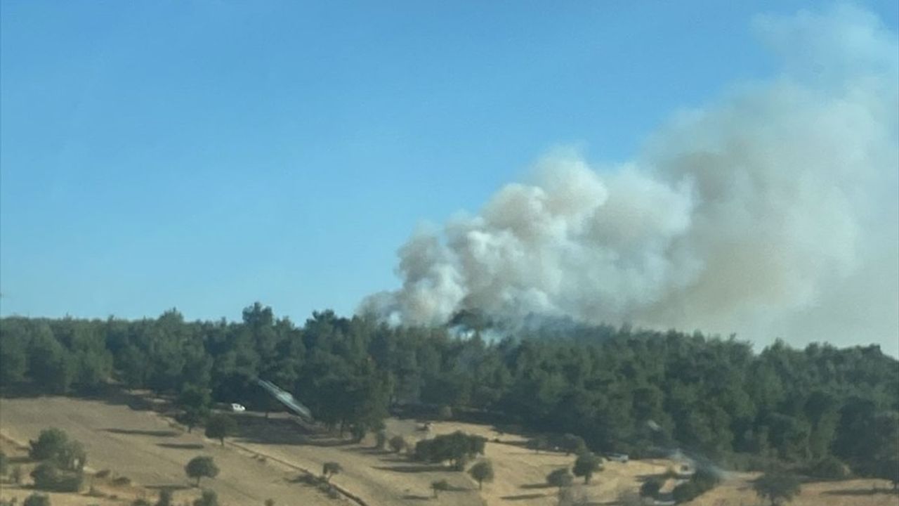 Çanakkale Ezine Akköy'de tarım arazisinde çıkan yangın ormana sıçradı, müdahale sürüyor