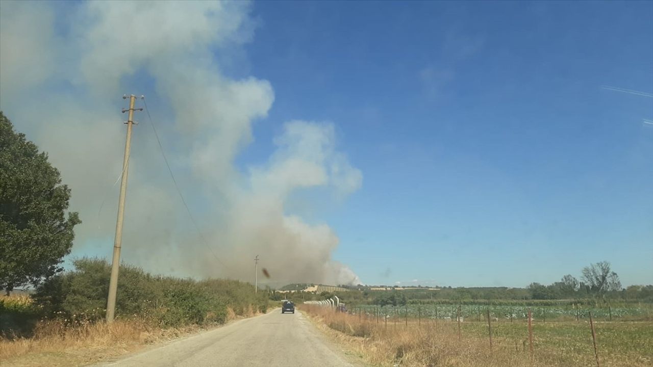 Çanakkale Ezine'de zeytinlik yangını ormana sıçradı; ekipler havadan ve karadan müdahale ediyor