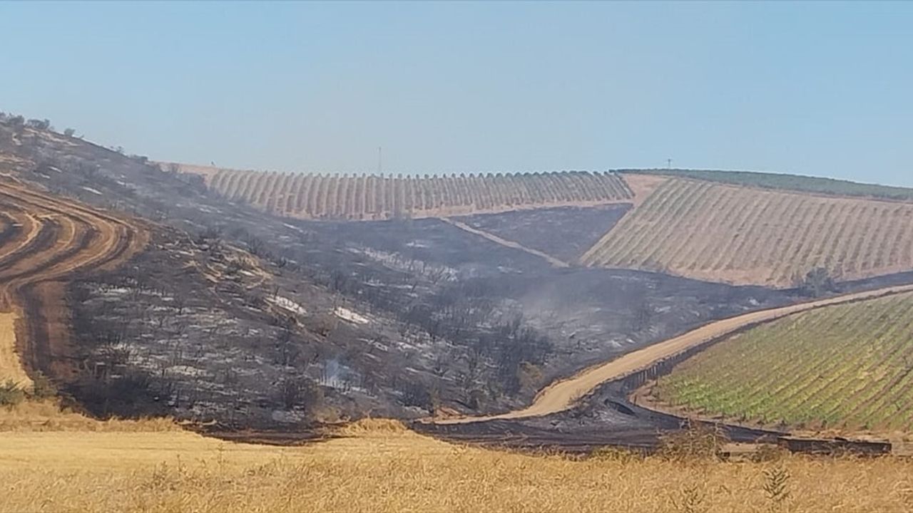 Çanakkale Gelibolu'da tarım arazisinde çıkan yangın havadan ve karadan müdahaleyle kontrol altına alındı