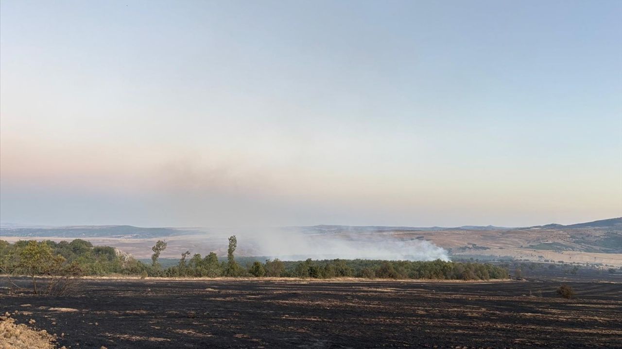 Çorum Alaca'da orman yangınına müdahale sürüyor