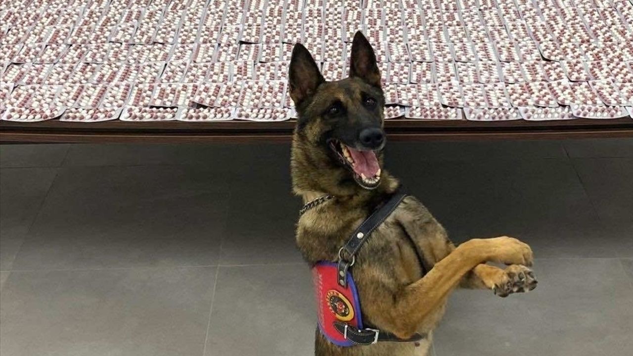 Denizli Merkezefendi'de valizinde uyuşturucu ele geçirilen şüpheli tutuklandı