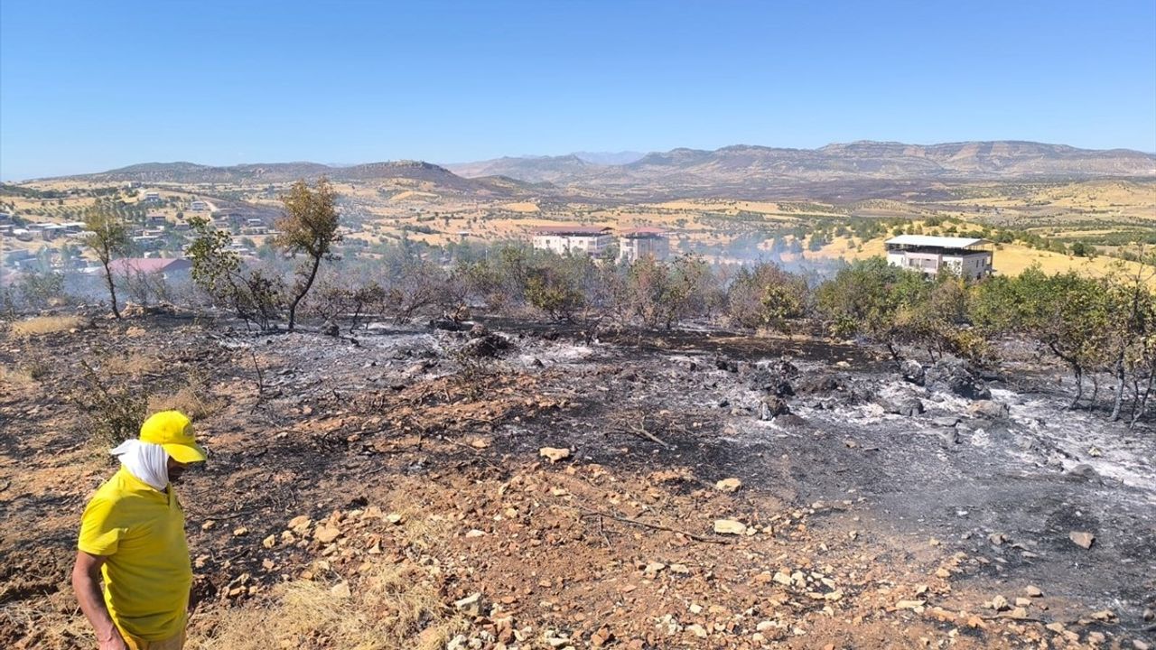 Diyarbakır'da Lice ve Dicle kırsalında üç örtü yangını kontrol altına alındı