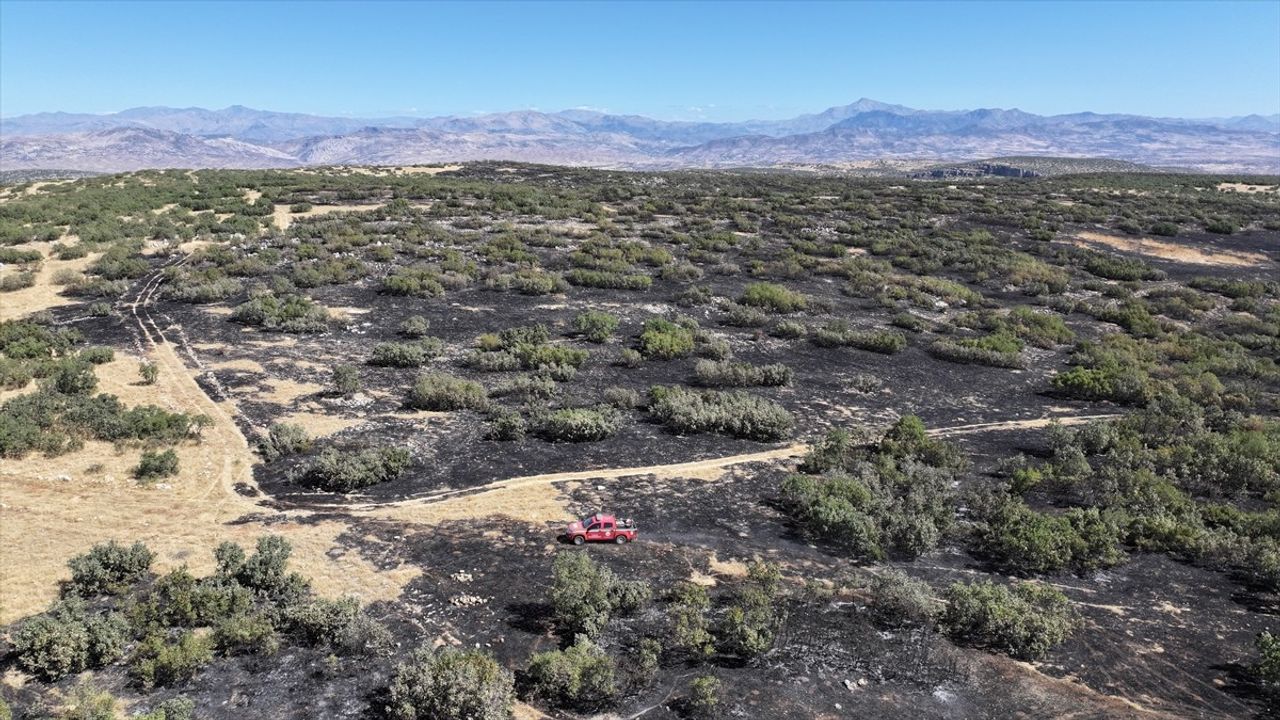 Diyarbakır Silvan'da örtü yangını kontrol altına alındı