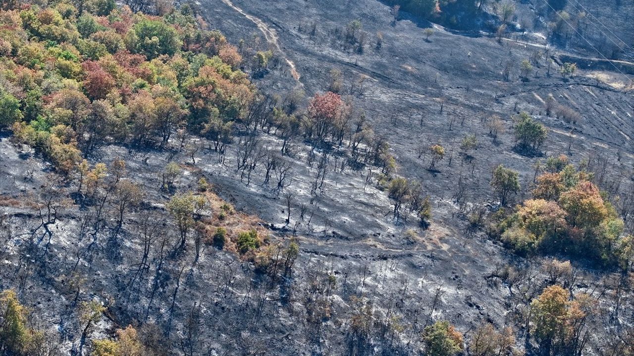 Düzce Yığılca'daki yangında yaklaşık 30 hektarlık alan zarar gördü; hasar dronla görüntülendi