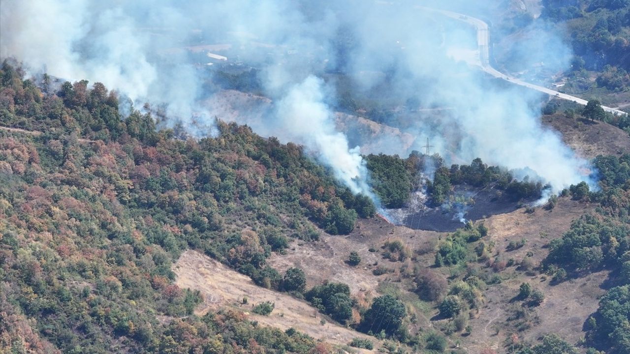 Düzce Yığılca Hasanlar Köyü'nde orman yangınına müdahale sürüyor