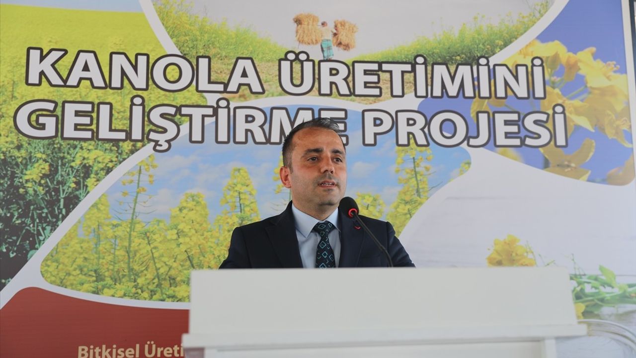 Edirne'de Çiftçilere Kanola Tohumu Dağıtıldı: Hedef 50 Bin Dekar