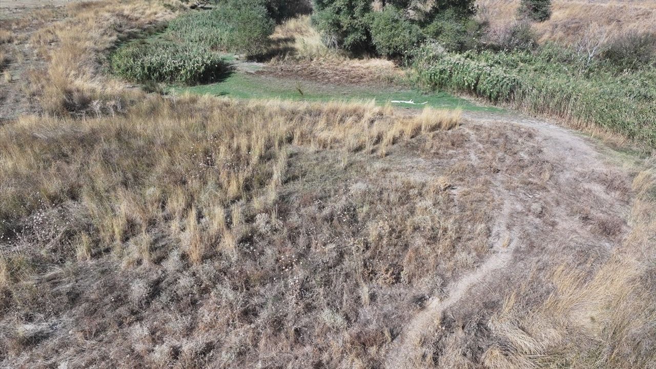 Edirne'de Musabeyli Göleti kuraklık nedeniyle tamamen kurudu