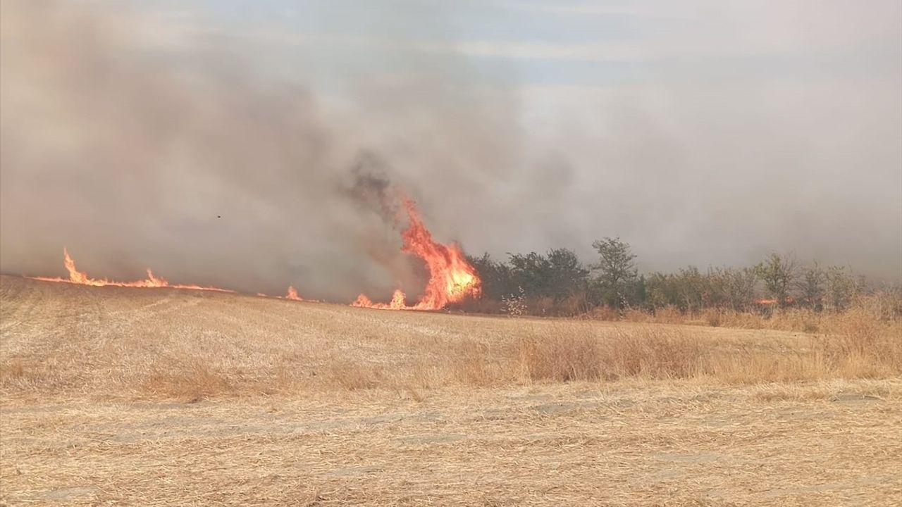 Edirne Keşan'da anız yangını ağaçlık alana sıçradı, ekipler söndürdü