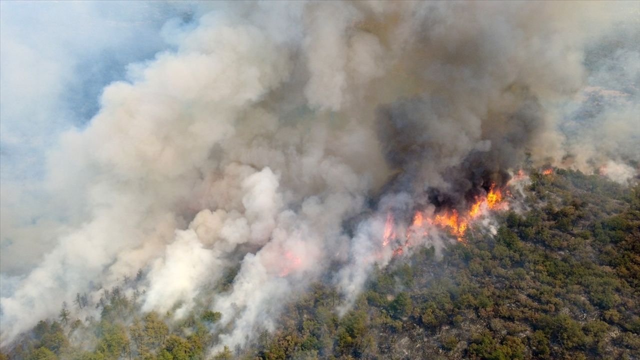 Eflani'de başlayan orman yangını Kastamonu'nun Araç ilçesine ulaştı