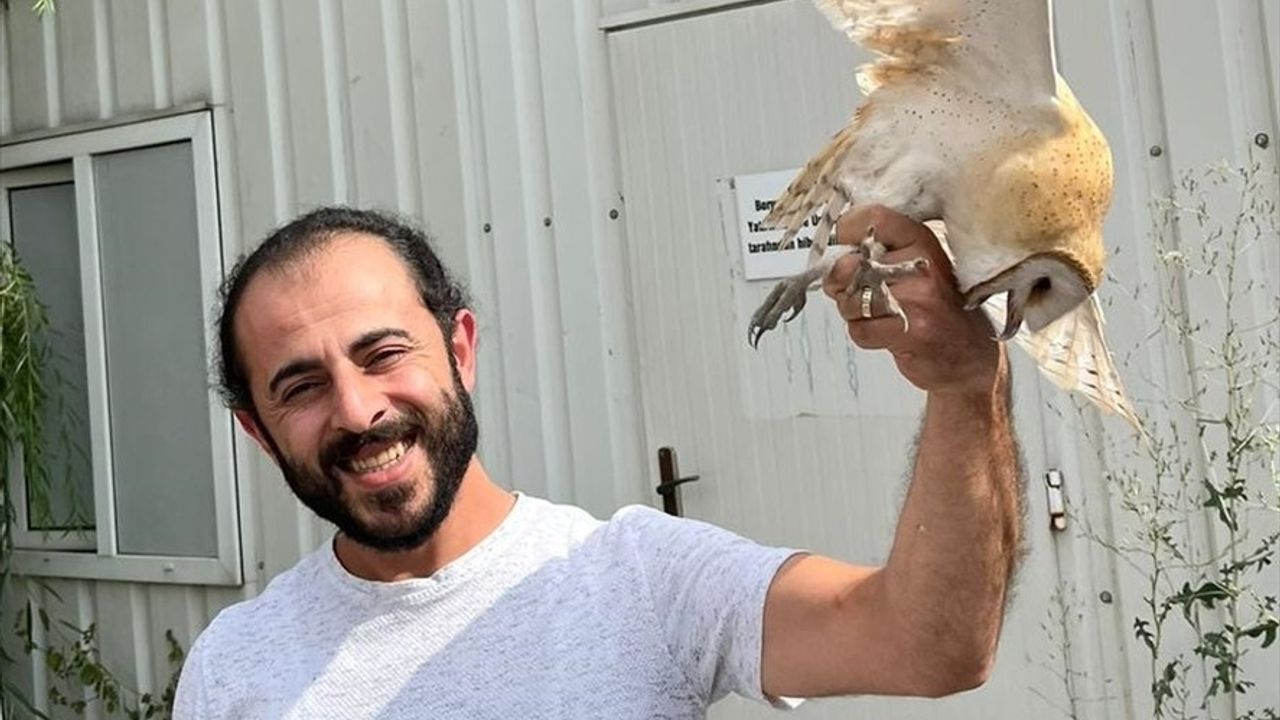 Erzurum'da bitkin bulunan peçeli baykuş, bakımı sonrası doğaya salındı