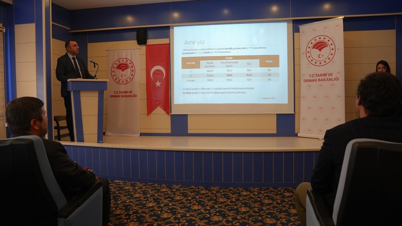 Erzurum'da veteriner hekimlere buzağı sağlığı eğitimi: Kayıpları azaltma ve verimliliği artırma hedefi