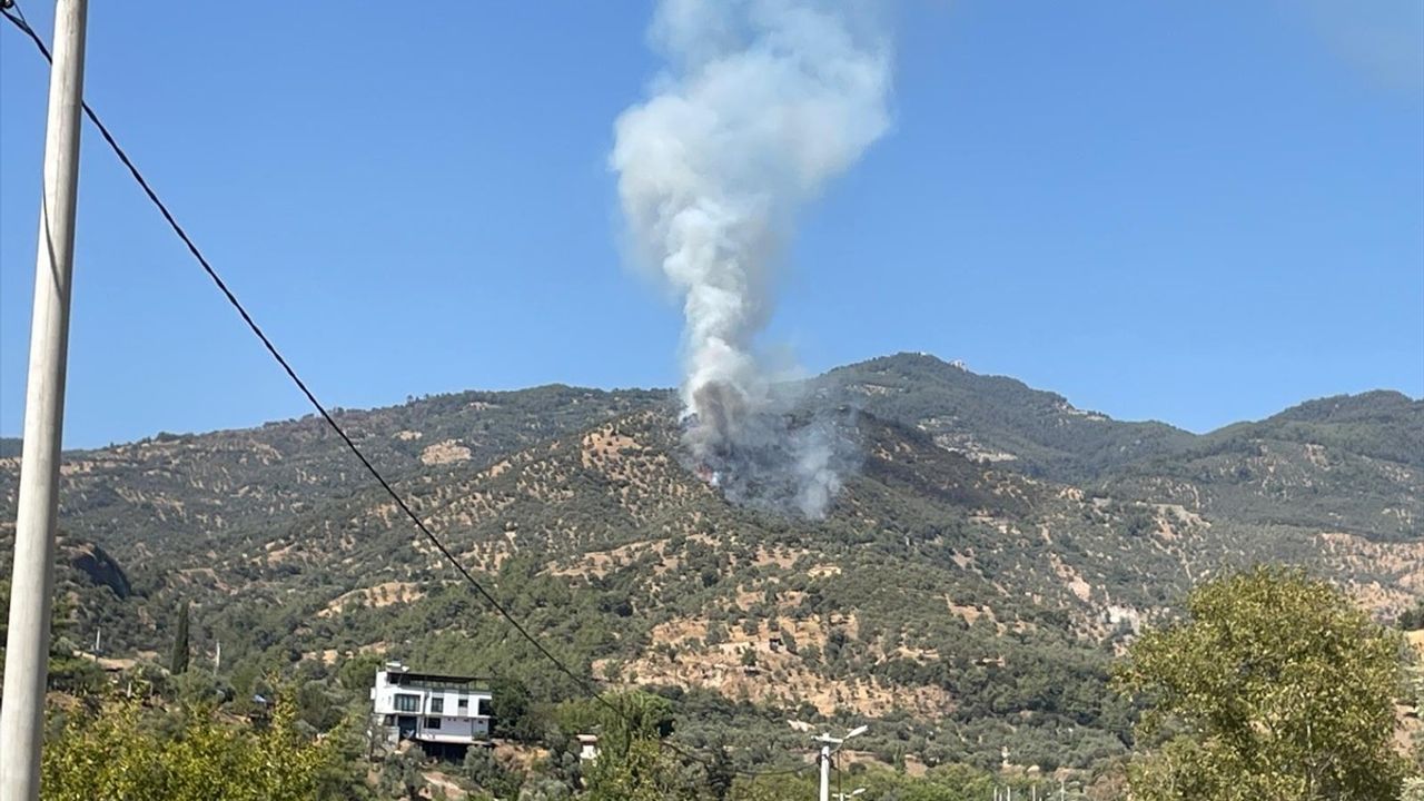 Güncelleme: Aydın Efeler'de zeytinlik yangını kontrol altına alındı