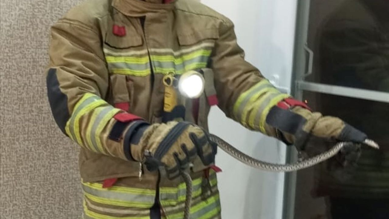 Hatay'da İskenderun ve Erzin'de Evlerine Giren İki Yılan İtfaiye tarafından Yakalanıp Doğaya Bırakıldı