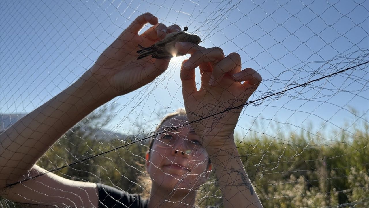 Iğdır'da sonbahar göçü: Aras Kuş Cenneti'nde 75 türden 3 binden fazla kuş halkalandı