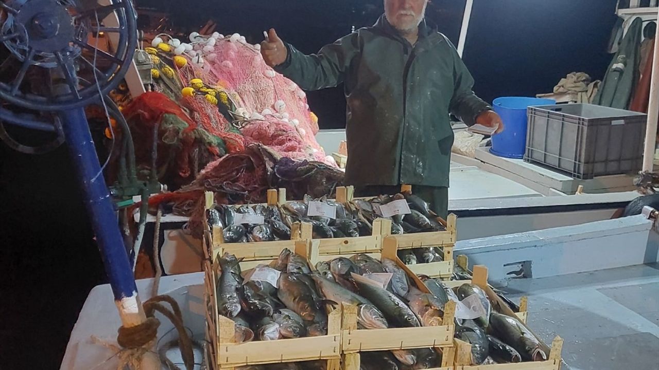 İğneada'da lüfer bereketi: Balıkçılar kasalar dolusu avla kıyıya döndü