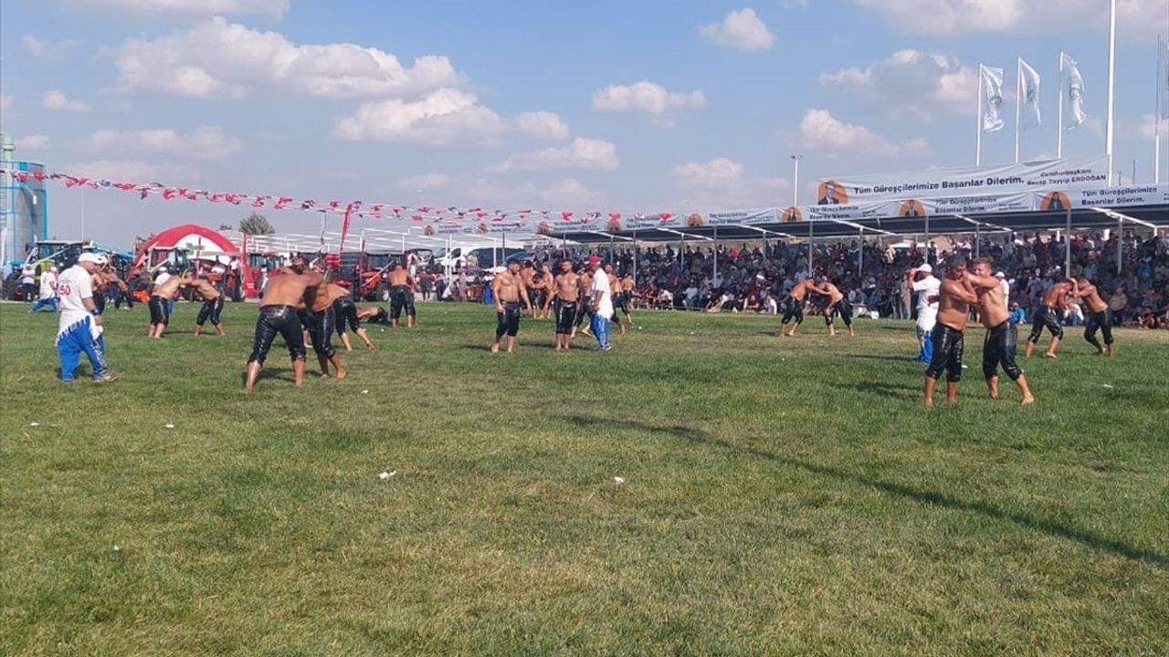 İpsala'da Kel Aliço Pehlivan Yağlı Güreşleri: Yıldıray Pala başpehlivan oldu