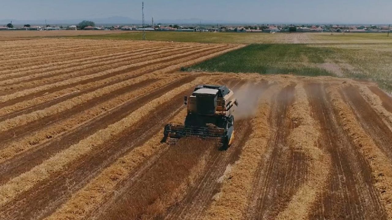 İşlenmeyen tarlalar kiralanacak! Devletten 300 bin dekar atıl arazi için geri sayım başladı