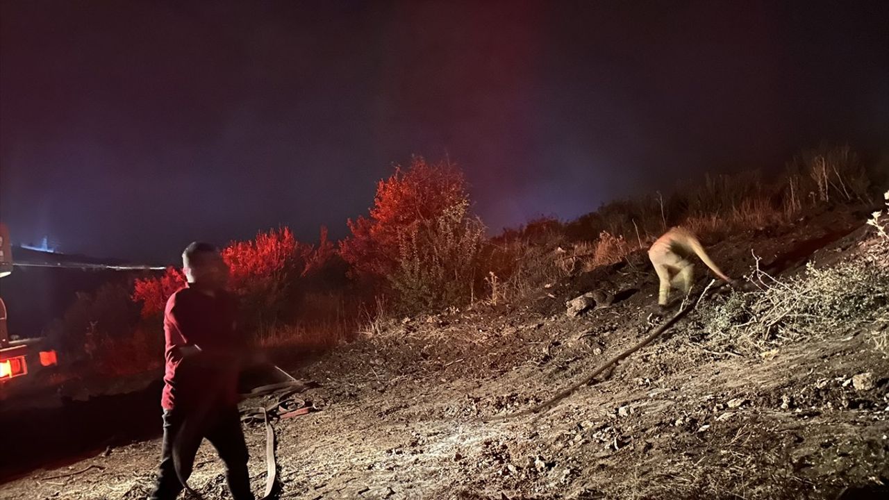 Isparta Eğirdir'de çıkan orman yangını söndürüldü