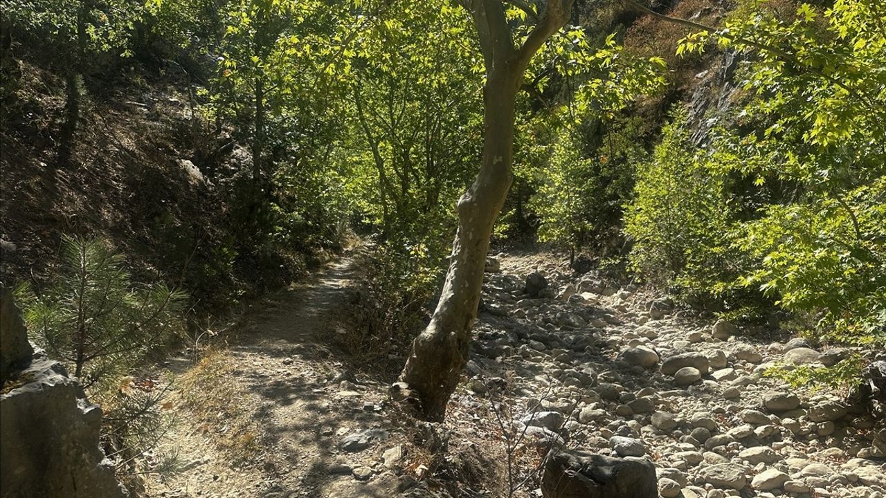 Isparta Yaka Kanyonu'nda sular çekildi: Kuraklık küçük havuz ve şelaleleri etkiledi