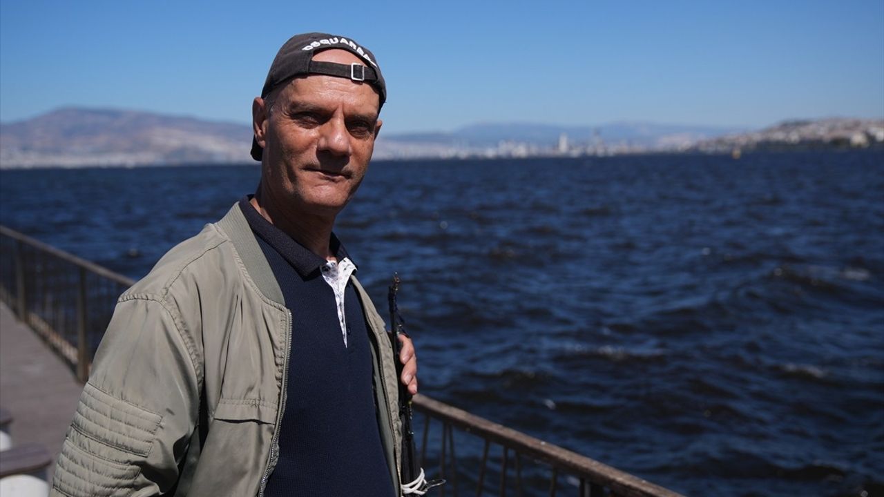 İzmir Körfezi'nde Üçkuyular yakınlarında balık ölümleri devam ediyor