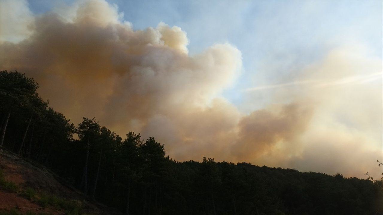 Karabük Aladağ'da orman yangınına havadan ve karadan müdahale devam ediyor