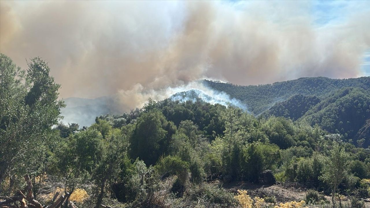 Karacabey: Muğla ve Antalya'daki yangınlara hava ve kara ekipleriyle müdahale sürüyor