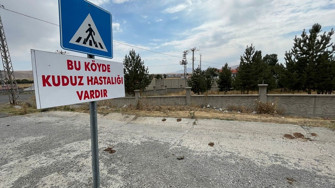 Kars Digor'da telef olan köpekte kuduz tespit edildi, Dağpınar beldesinde karantina uygulaması başlatıldı