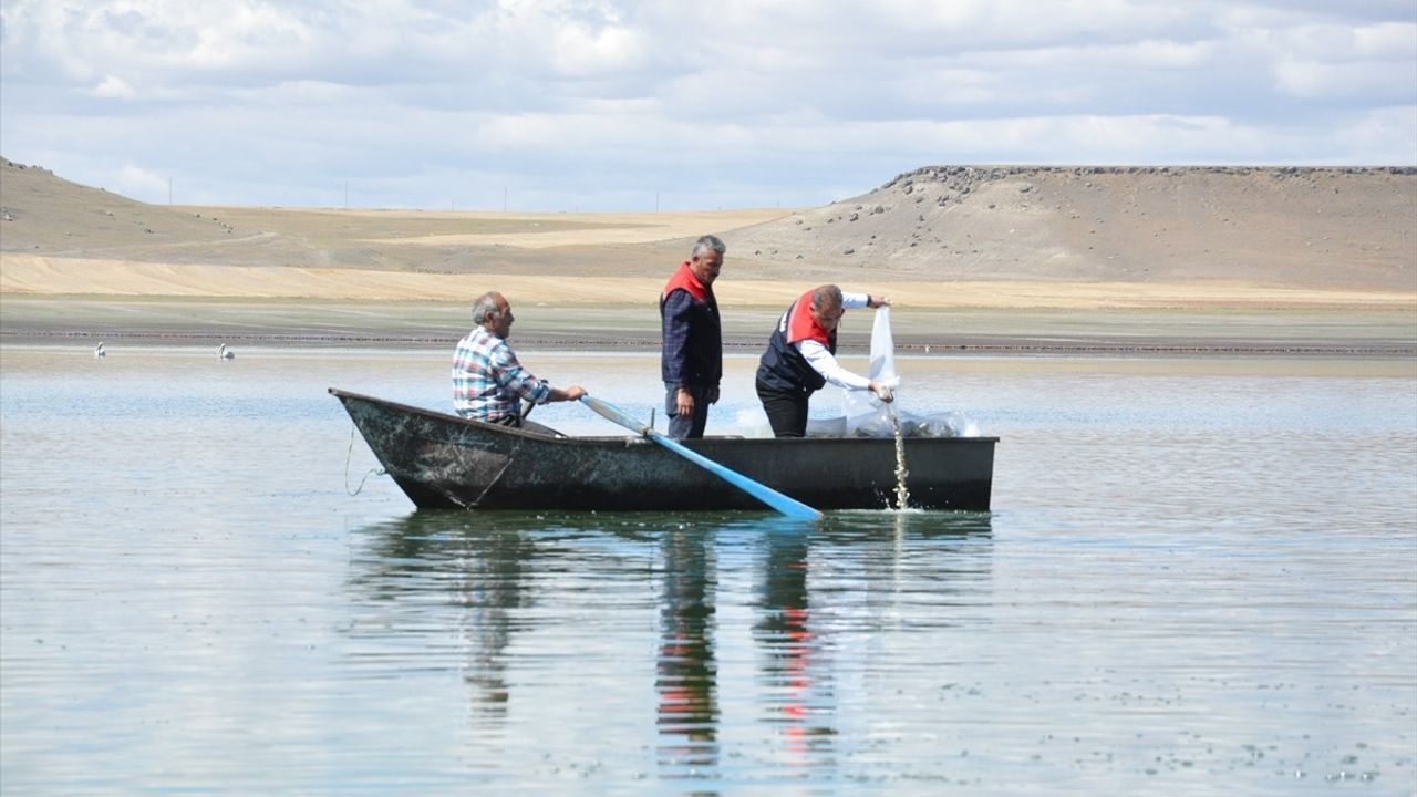 Kars'ta 'Su Kaynaklarının Balıklandırılması Projesi' kapsamında 500 bin sazan yavrusu bırakıldı