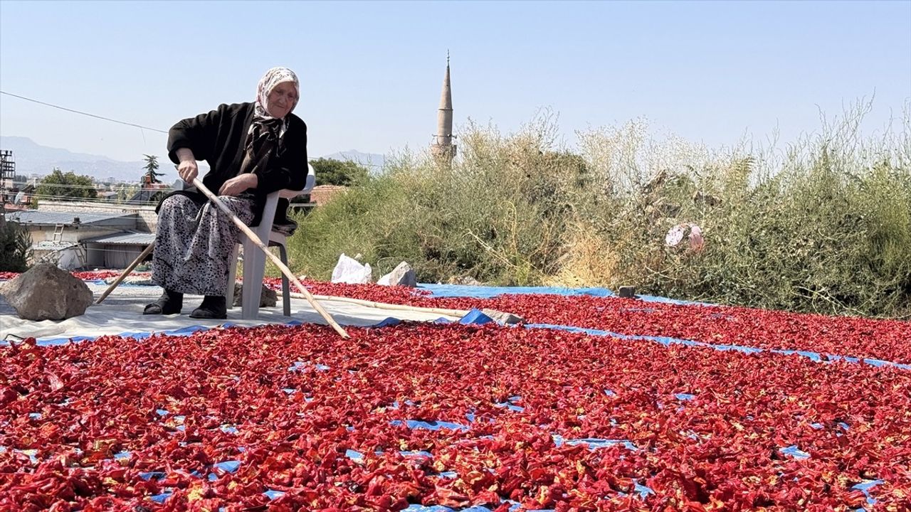 Kayseri Cırgalan'da ata tohumlu coğrafi işaretli biber geleneksel yöntemlerle kurutuluyor