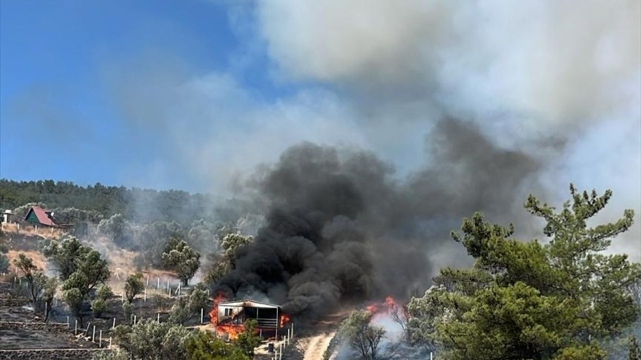 Kemalpaşa’da tarım arazisinden ormanlık alana sıçrayan yangın kontrol altına alındı