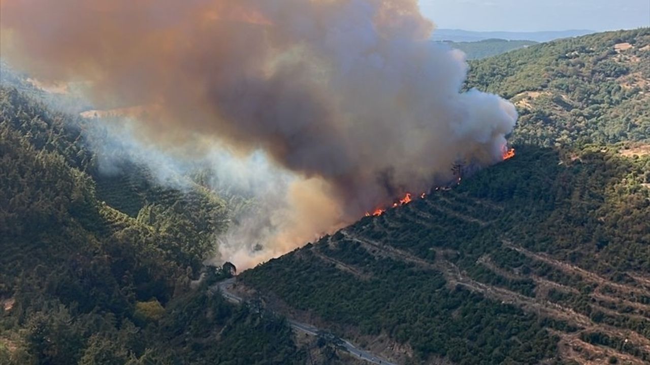 Balıkesir Kepsut'ta kamyon kazası orman yangınına yol açtı — sürücü kurtarıldı, müdahale sürüyor