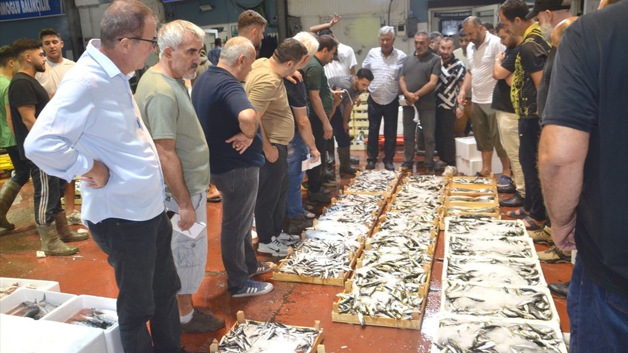 Kocaeli'de yeni sezonun ilk balık mezadı Ereğli Balık Hali'nde gerçekleştirildi