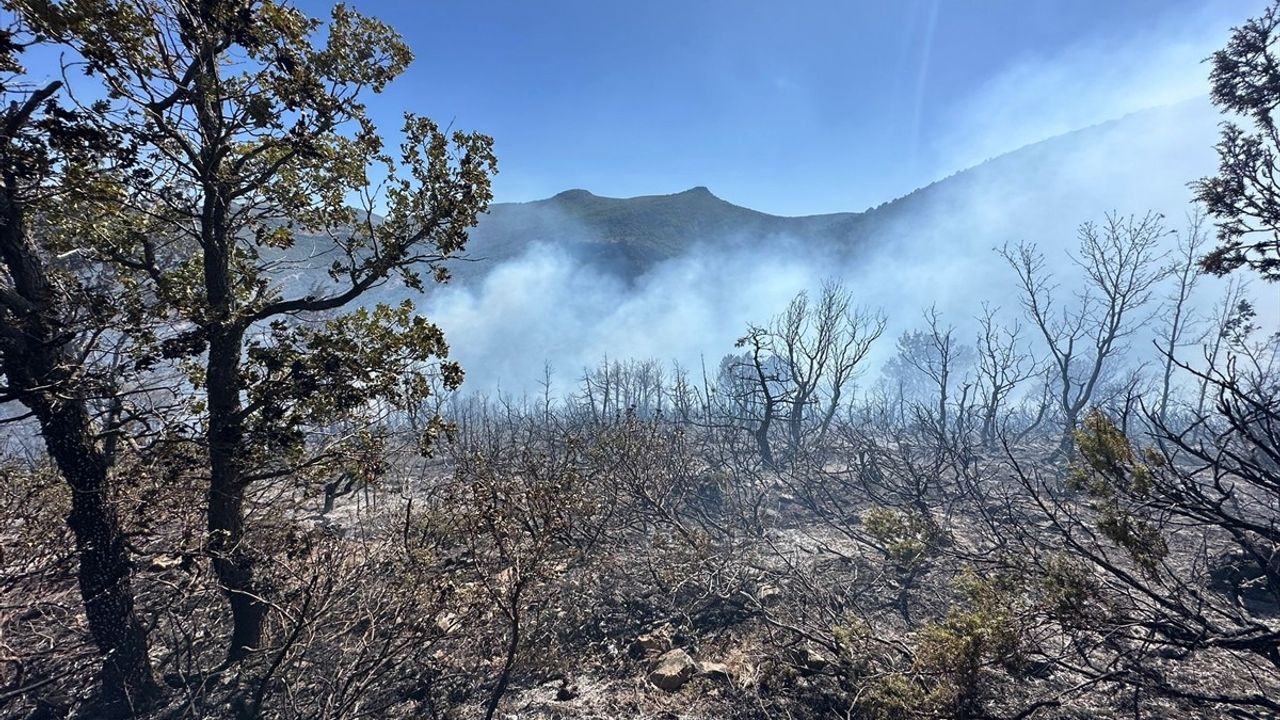 Konya Akşehir'de Bermende Mahallesi'nde orman yangını — müdahale sürüyor