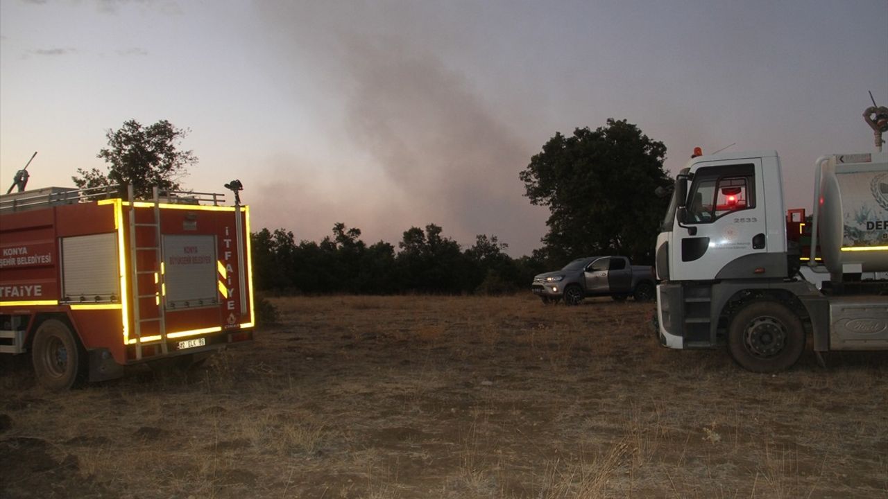 Konya Beyşehir'de göl kenarı sazlık yangını ormana sıçradı, karadan ve havadan müdahale sürüyor