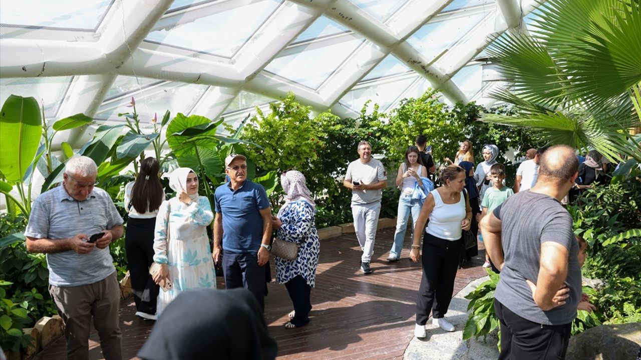 Konya Tropikal Kelebek Bahçesi yaz döneminde 272 bin 491 ziyaretçi ağırladı