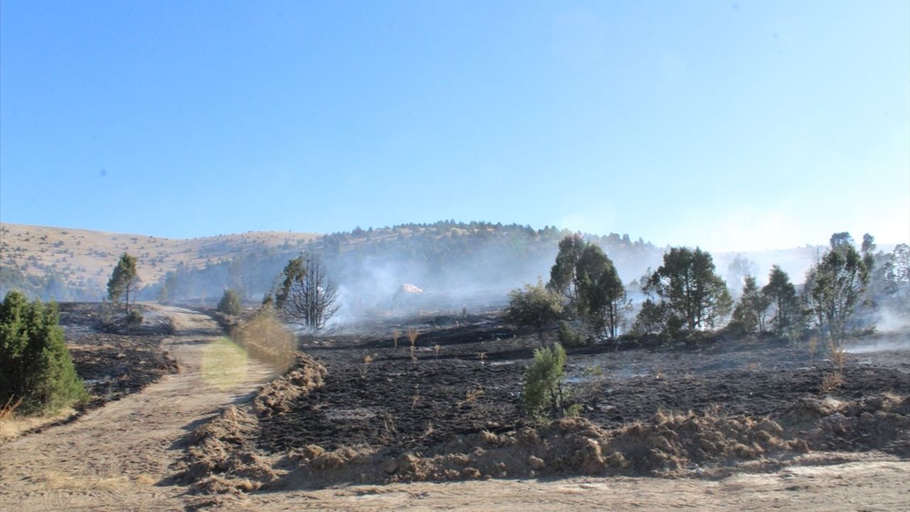 Konya Yunak'ta orman yangını söndürüldü — 40 dönüm zarar