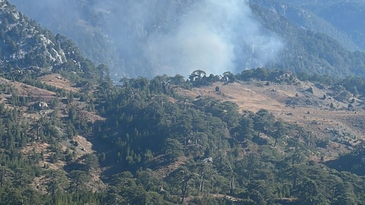 Köyceğiz'de orman yangınına havadan ve karadan müdahale sürüyor