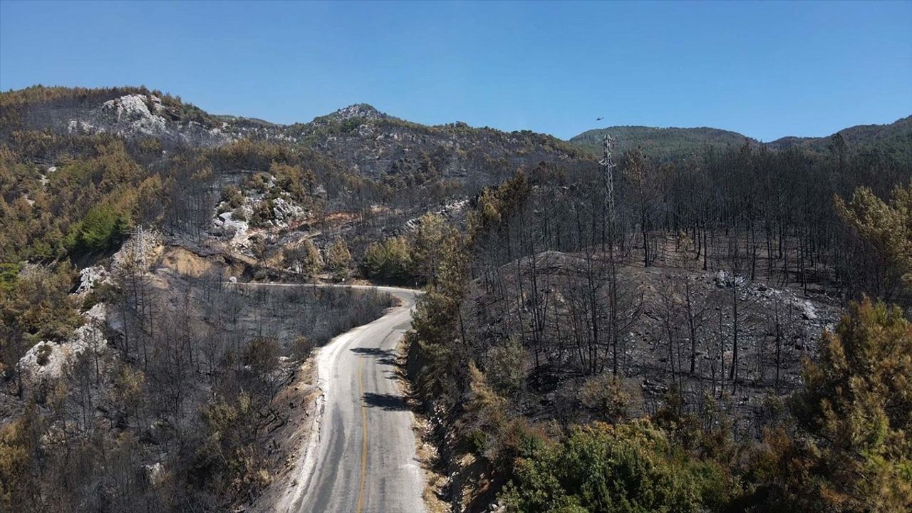 Köyceğiz'de orman yangınında zarar gören alanlar dronla havadan görüntülendi
