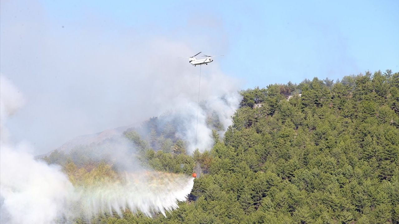 Köyceğiz'deki orman yangını ikinci gününde — müdahale karadan ve havadan sürüyor