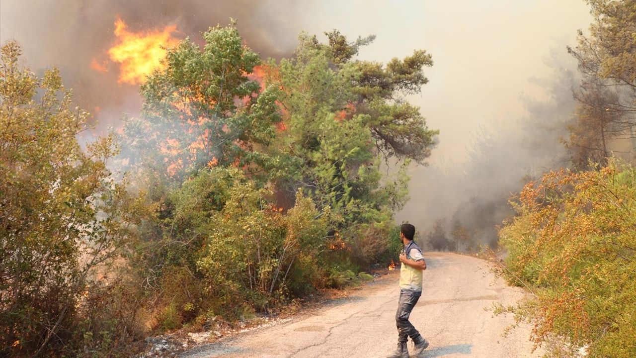 Lazkiye'nin Bayırbucak Bölgesindeki Orman Yangını: 3 İtfaiye Görevlisi Yaralandı