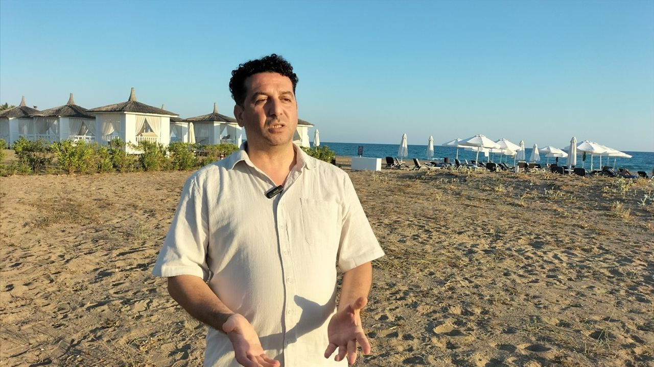 Manavgat sahillerinde nesli tehlike altındaki kum zambakları ilgi görüyor