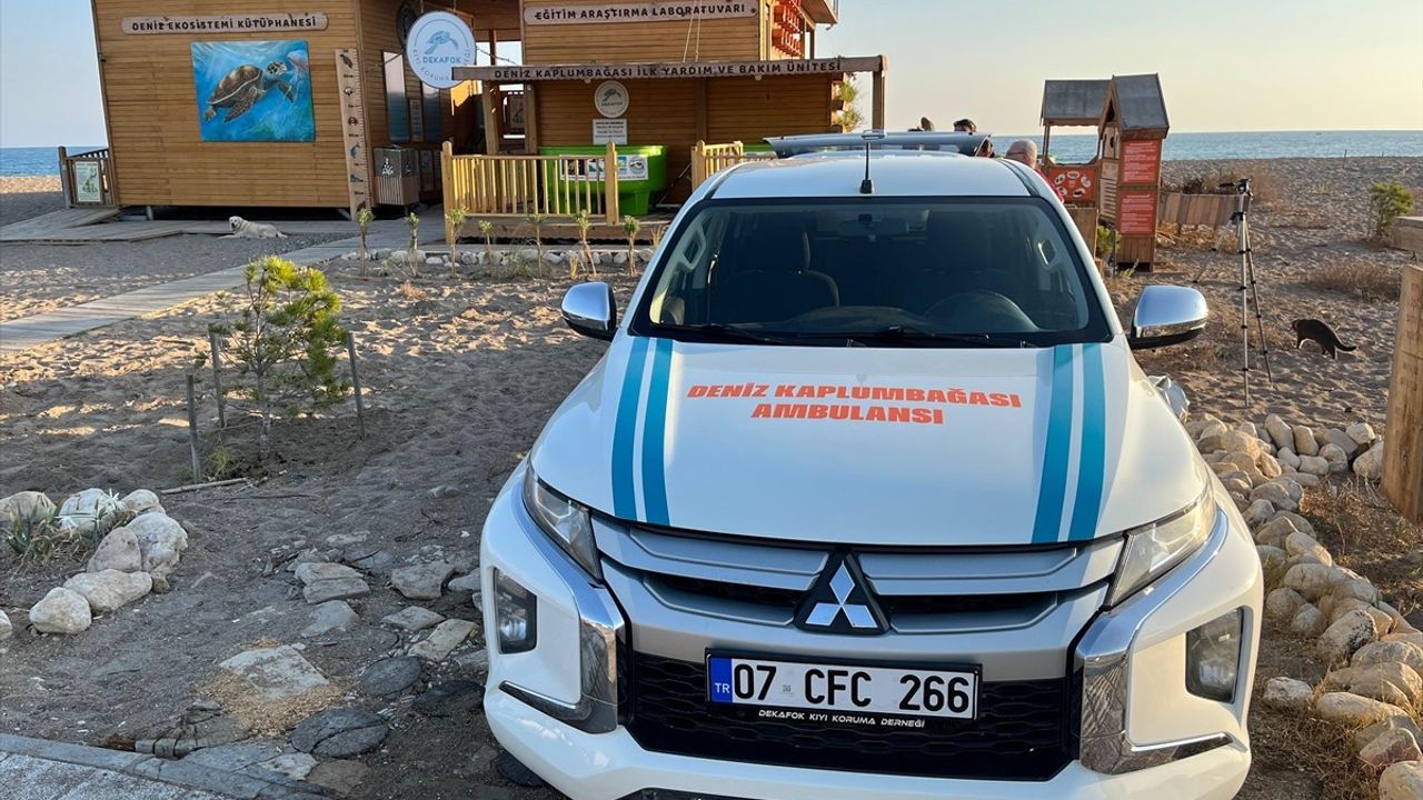 Manavgat'ta 'deniz kaplumbağası ambulansı' Muğla-Mersin hattında hizmet verecek