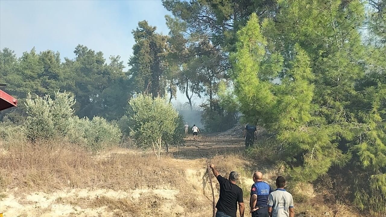 Manavgat'ta tarım arazisinde başlayan yangın ormanlık alana sıçradı, kontrol altına alındı