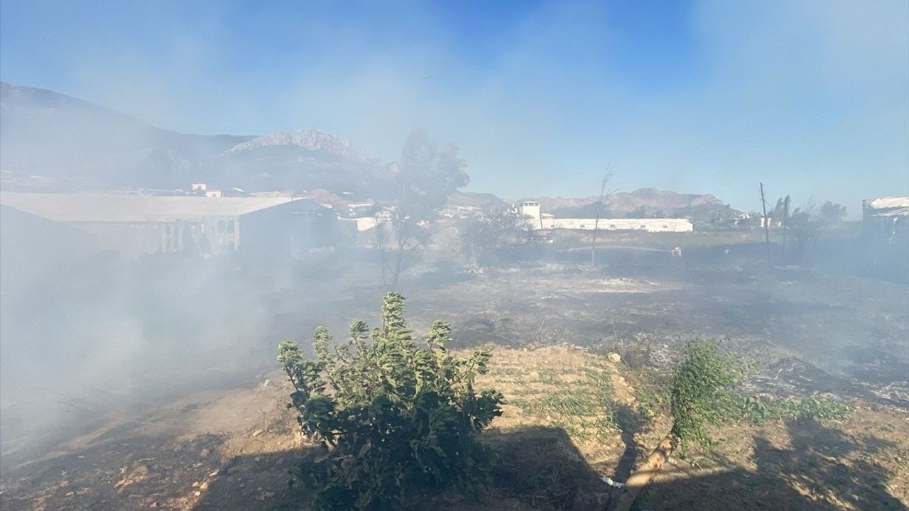 Mersin Bozyazı Tekeli Mahallesi'nde elektrik teli kopması sonucu sera yangını söndürüldü