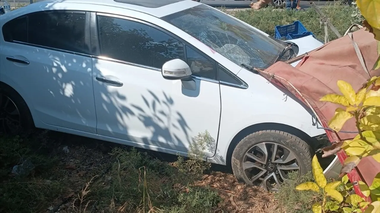 Mersin'de otomobil zeytin toplayan işçilere çarptı: 1 ölü, 3 yaralı