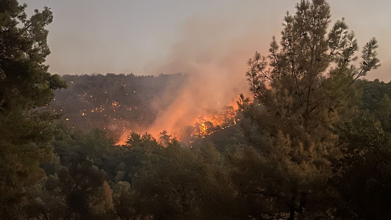 Milas'ta Kıyıkışlacık Mahallesi'nde Orman Yangınına Gece Boyu Müdahale