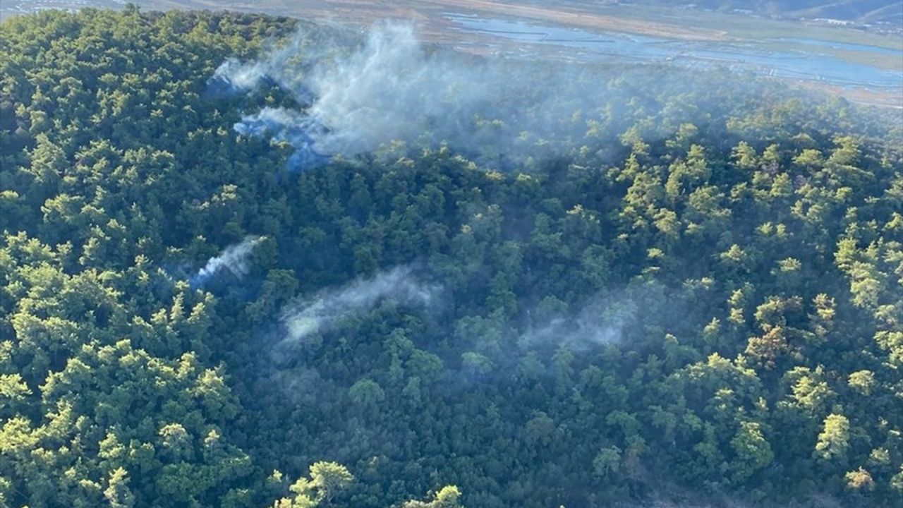 Milas'ta Orman Yangını: İkinci Günde Havadan ve Karadan Müdahale Sürüyor
