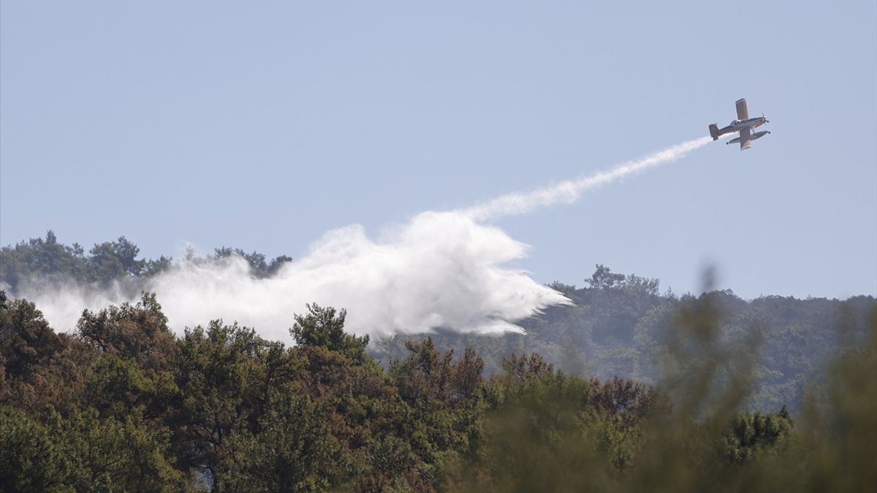 Milas'ta orman yangını kontrol altına alındı: Yaklaşık 80 hektar zarar