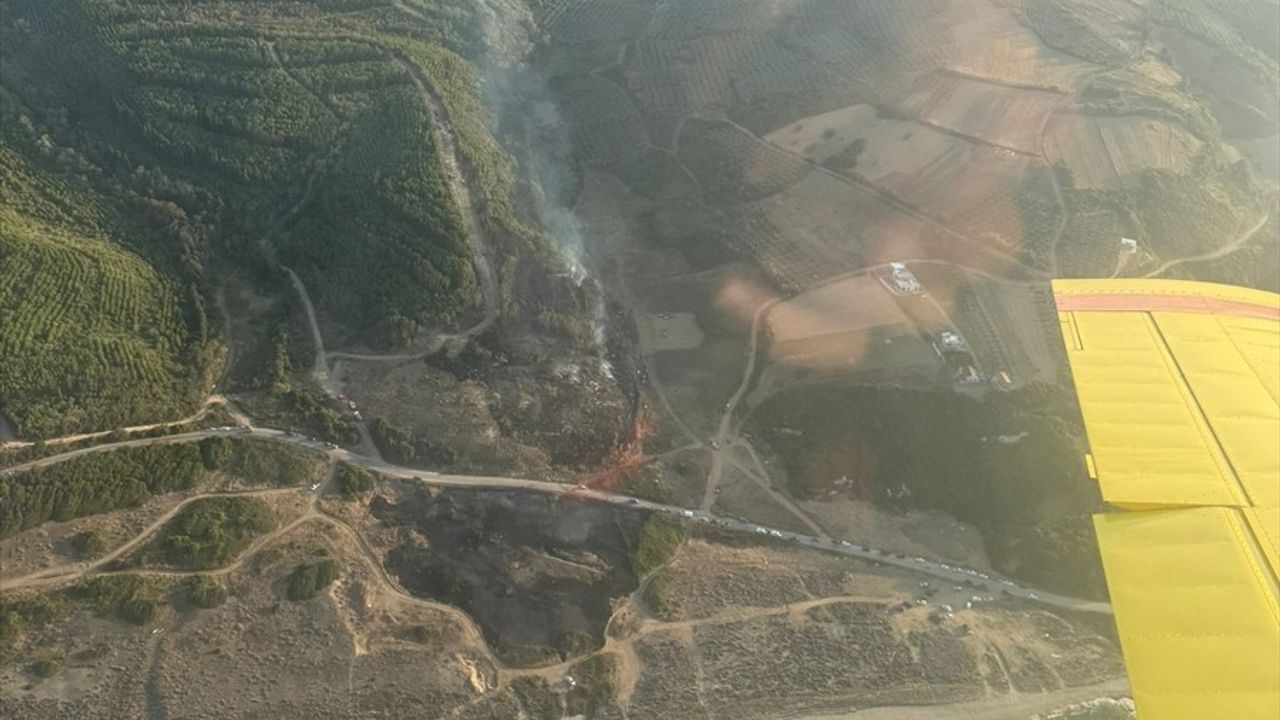 Bursa Mudanya'da orman yangını kontrol altına alındı